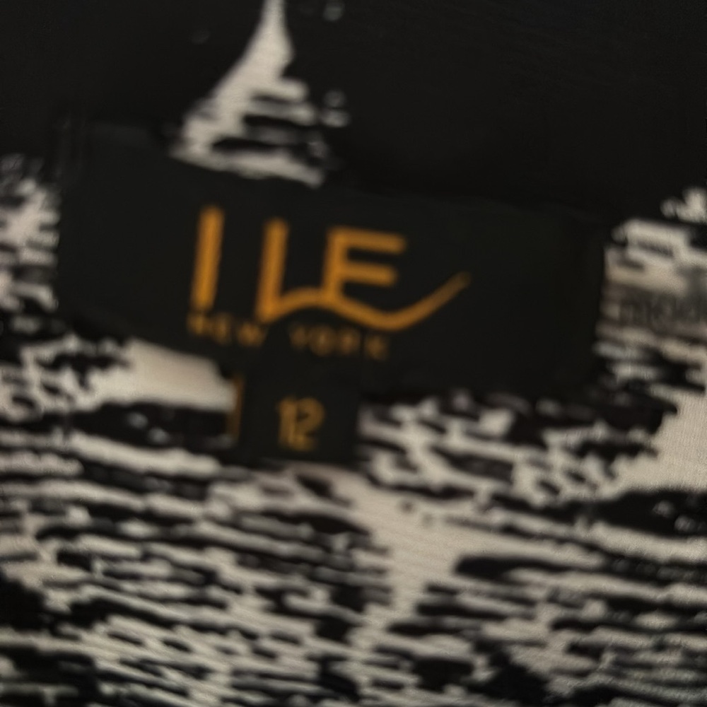 ILE New York Long Sleeve Shift Dress, Size 12, Black & Winter White - Picture 4 of 10